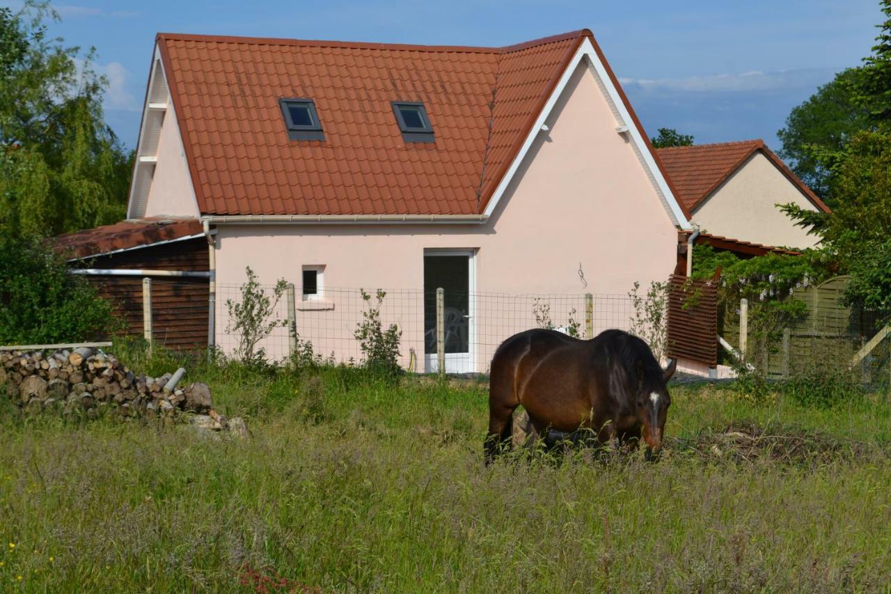 Le TilleulLe Paddock Des Caloges别墅 外观 照片